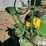 1943-john-deere-a-image-20