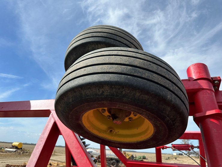 sunflower-1435-image-14