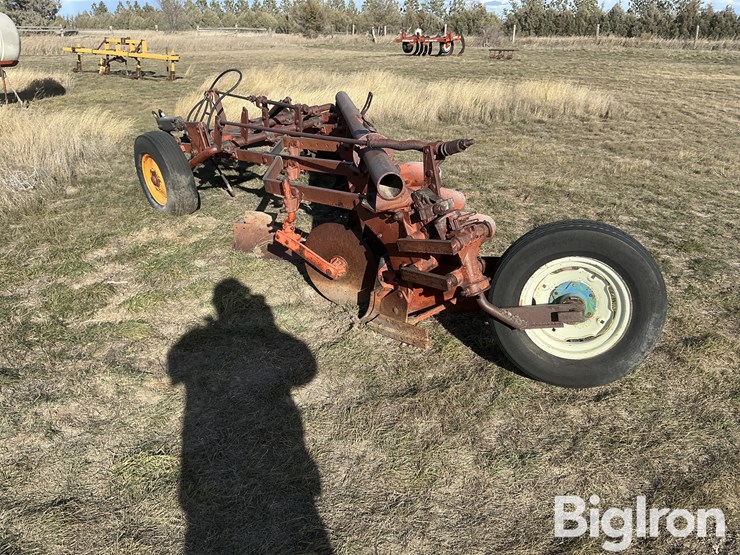 international-5-image-7