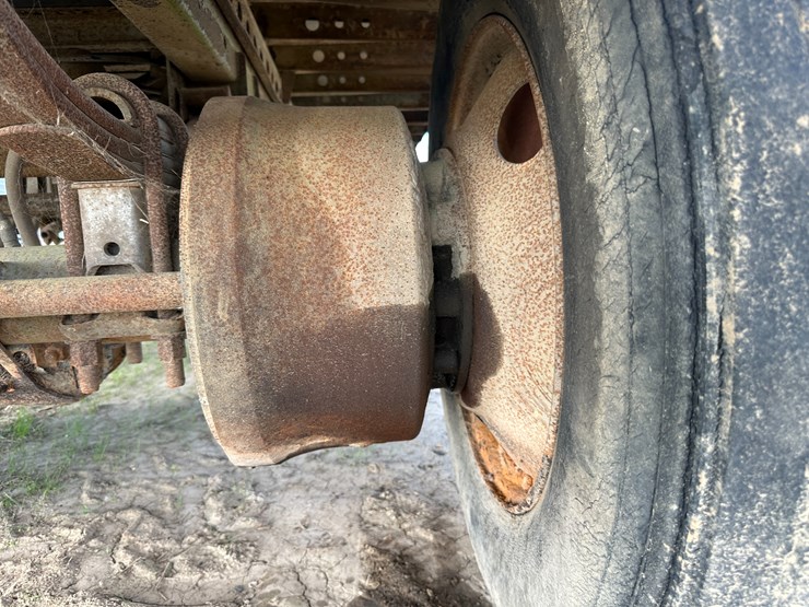 great-dane-48-image-9