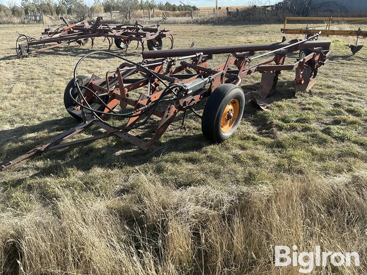 international-5-image-1