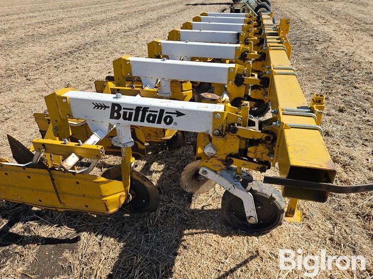 buffalo-6300-image-20