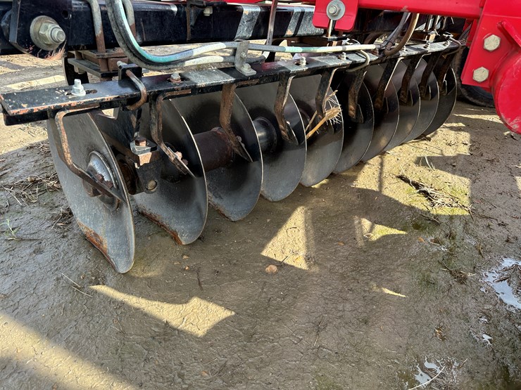 sunflower-1435-image-28