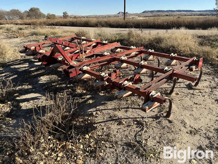 international-13-image-1