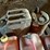 misc-pallet-of-gas-cans-image-9