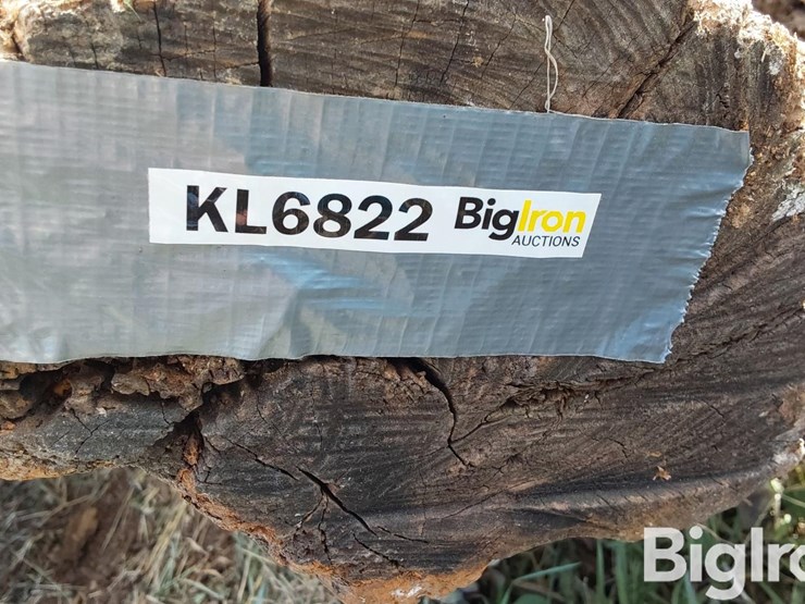 hedge-posts-image-18