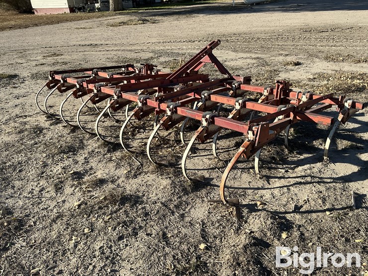 international-13-image-5