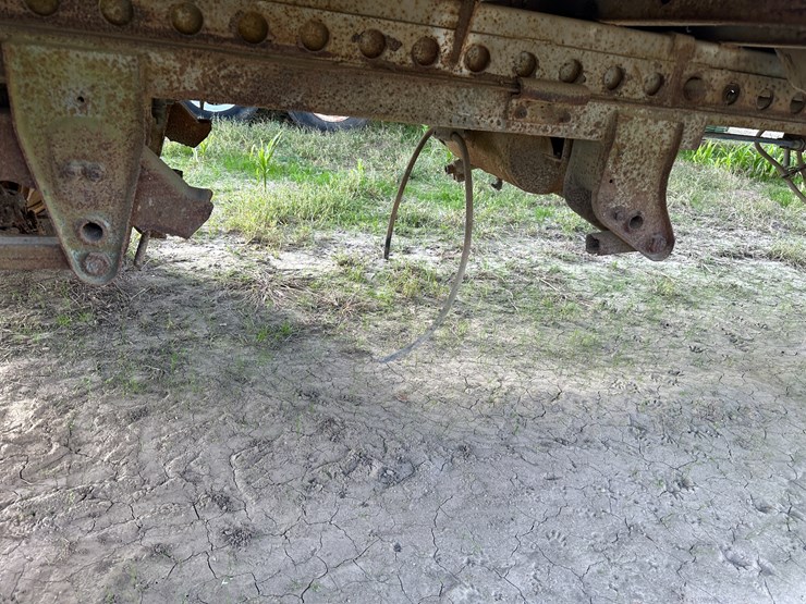 great-dane-48-image-8