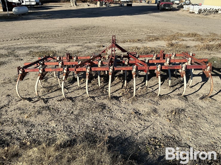 international-13-image-6