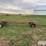 homemade-header-trailer-for-6-row-head-image-4