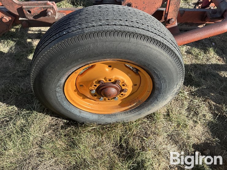 international-5-image-15