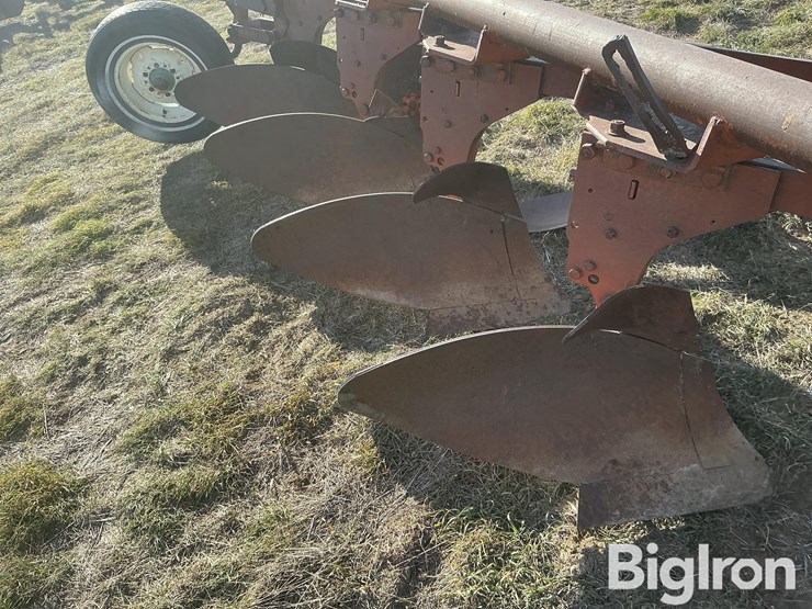 international-5-image-10