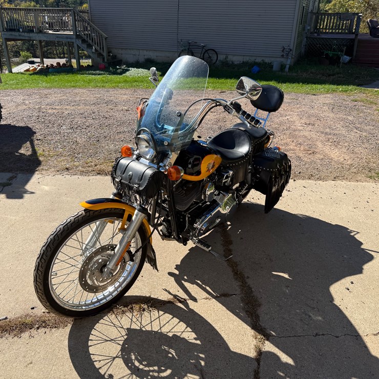 #1738 • 2001 HD Dynawide Glide Bumble Bee Edition (WI Title in Delay) (Black River Falls, WI)