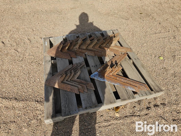 misc.-cultivator-sweeps-image-7