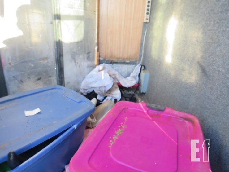 1994-diamond-d-image-8