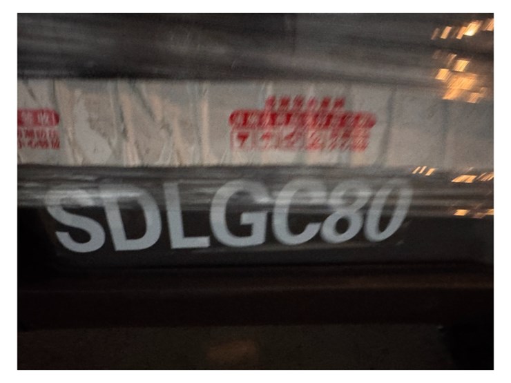 sdlgc80-electric-golf-cart-image-9