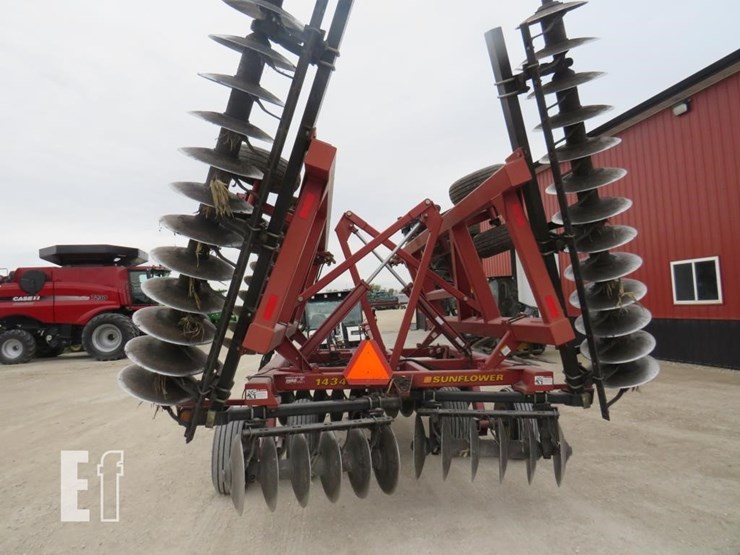 sunflower-1434-image-5