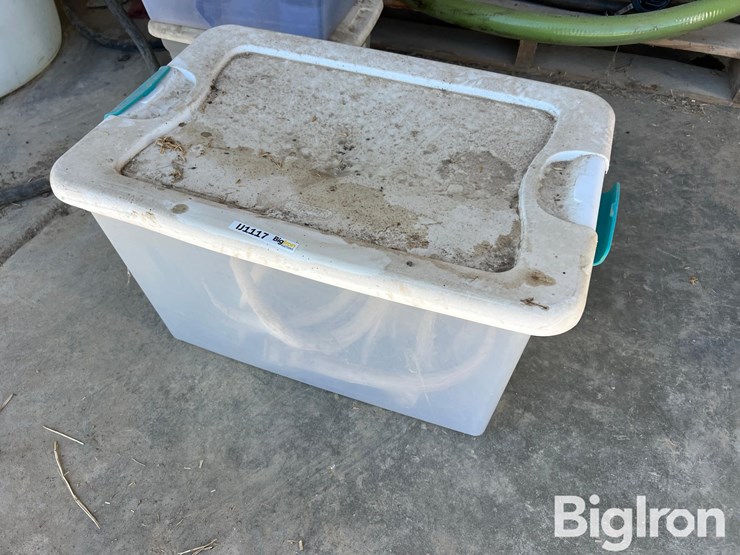 antlers-for-display-or-hunting-image-7