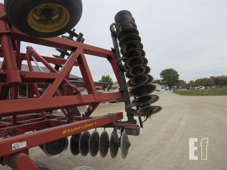 sunflower-1434-image-4