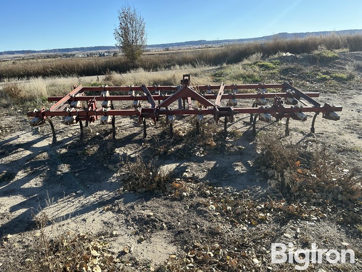 international-13-image-2