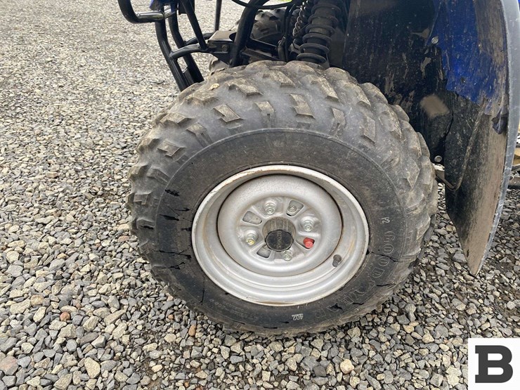 1993-honda-fourtrax-300-image-11