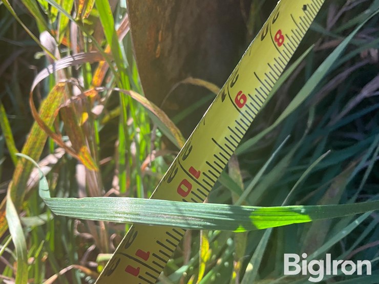 blu-jet-track-master-image-20