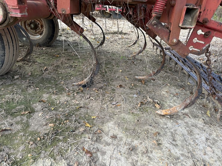 sunflower-6332-26-image-30