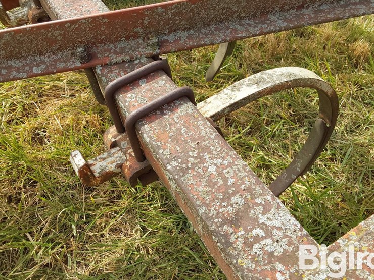 international-55-image-16