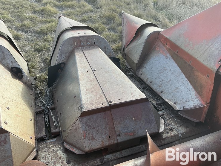 international-843-image-13