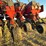 case-ih-1240-image-49