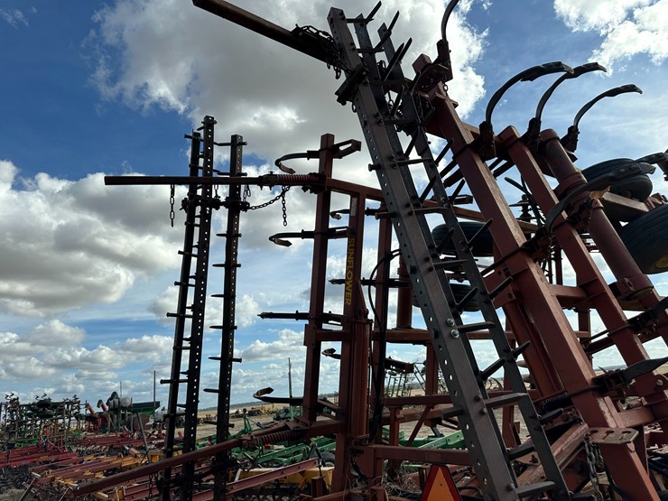 sunflower-6332-26-image-24