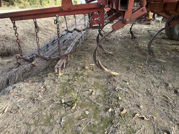 sunflower-6332-26-image-21