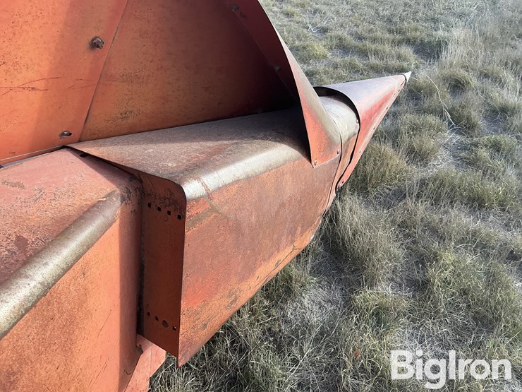 international-843-image-14