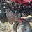 case-ih-1200-image-43