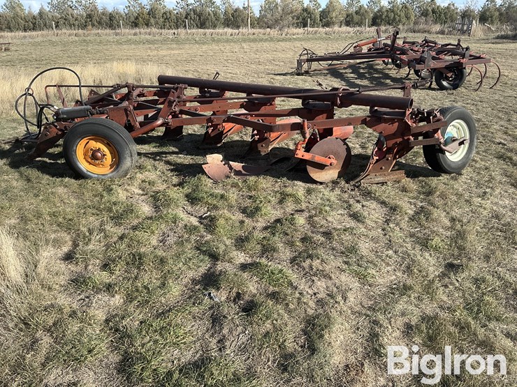 international-5-image-8