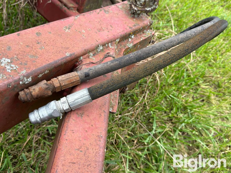 international-490-image-11