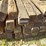 8'-landscape-timbers-image-8