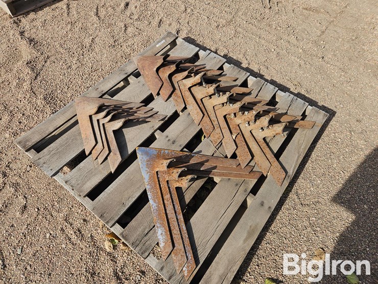 misc.-cultivator-sweeps-image-10