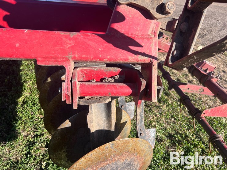 international-490-image-12