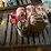 misc-pallet-of-gas-cans-image-8