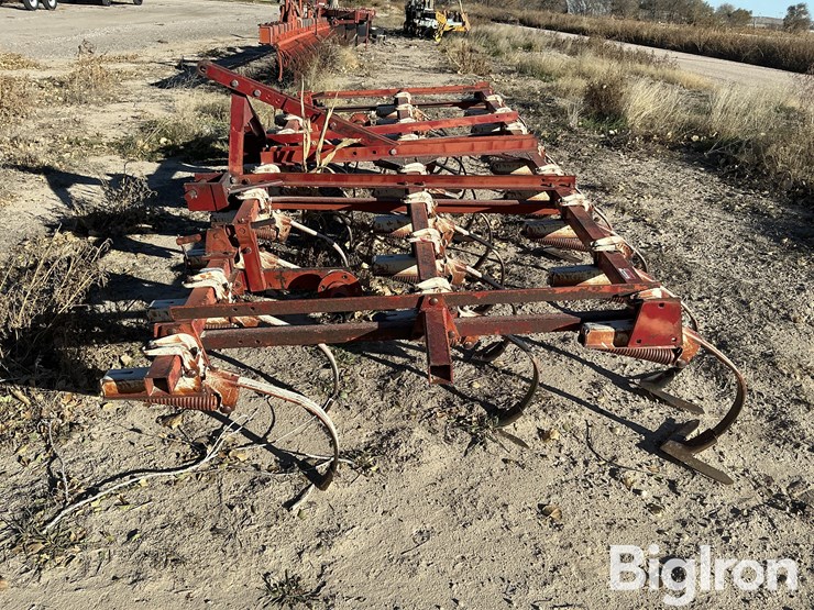 international-13-image-7