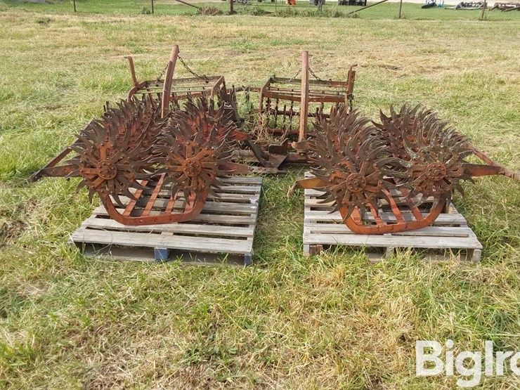 international-3-image-6