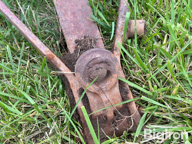 international-490-image-12