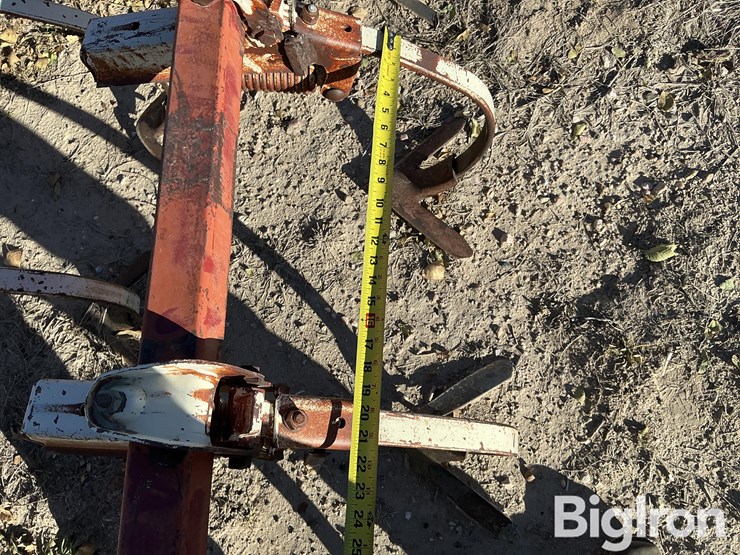 international-13-image-11