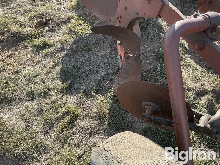 international-5-image-9