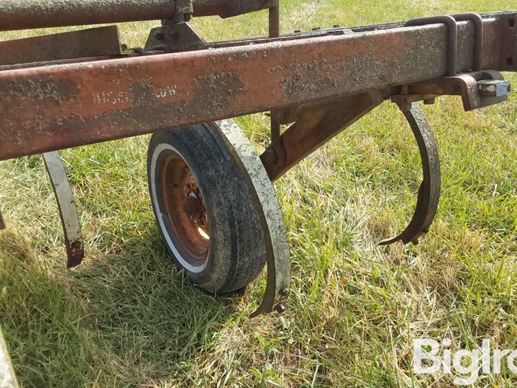 international-55-image-17