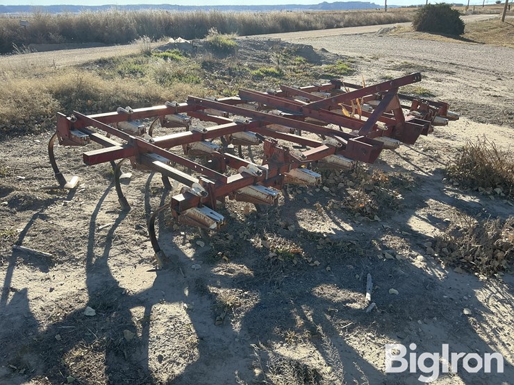 international-13-image-3