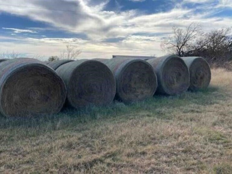 native-hay-mix-image-1