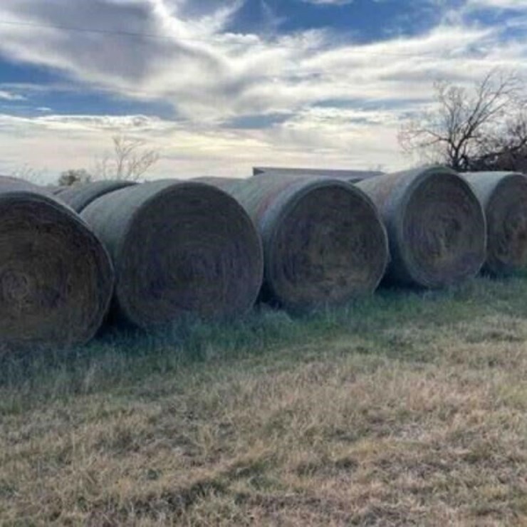 Native Hay Mix