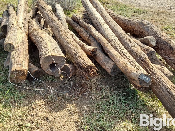 hedge-posts-image-13